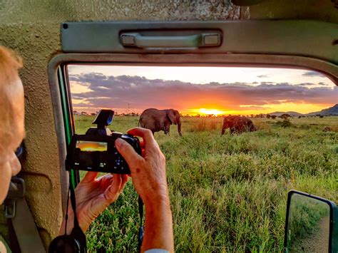 sunset-elephants | Wilderness Travel Blog