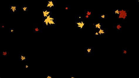 Colorful leaf moving animation with transparent background 18145793 ...