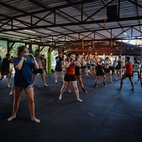 Lionheart Muay Thai Camp Koh Samui Triphock