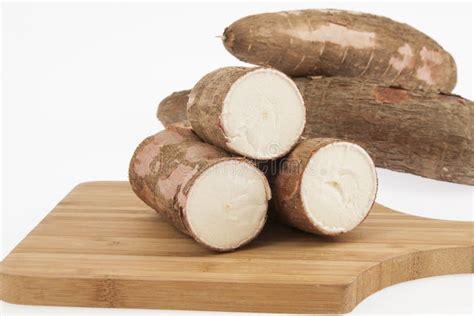 Raw Yucca On White Background Manihot Esculenta Cassava Raw Tuber