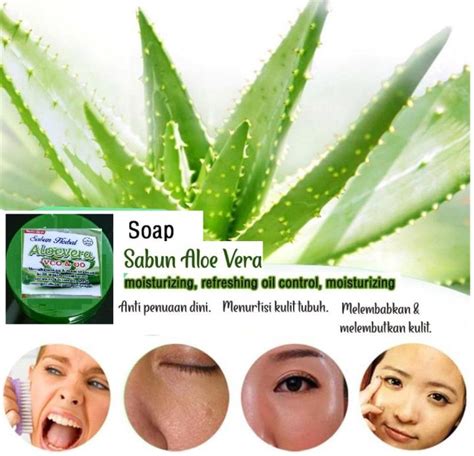 Sabun Aloevera Aloe Vera Gel Lidah Buaya Alovera Muka Batangan Mandi