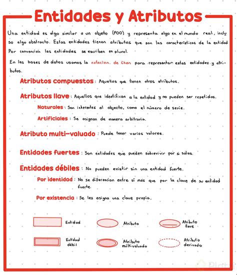 Qu Son Entidades Y Atributos Platzi