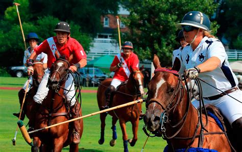 Equestrian Sports And Games Polo Ampascachi