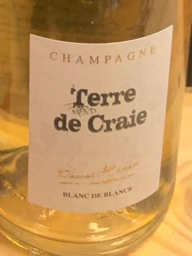 Pascal Henin Terre De Craie Blanc De Blancs Champagne Vivino Us