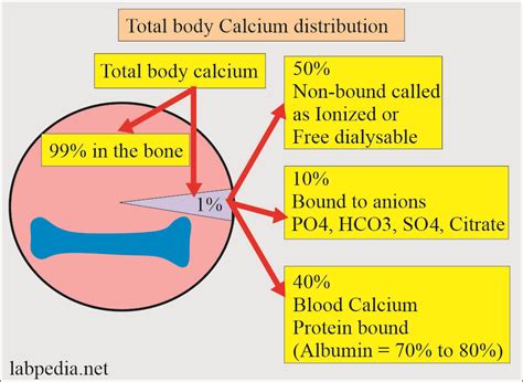 Calcium Part 2 Ionized Calcium Ca Free Calcium Labpedia Net