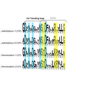 Sequence Conservation Pattern Of Dockerin Modules The Two Internal