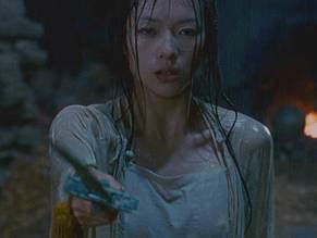 CROUCHING TIGER HIDDEN DRAGON NUDE SCENES AZNude