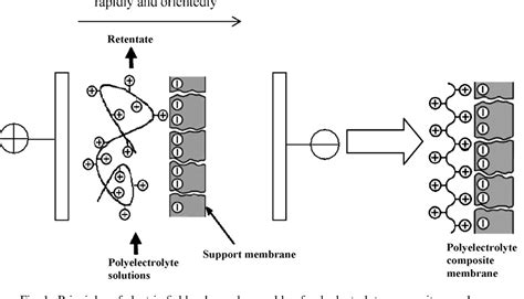 Figure 1 From Electric Field Enhanced Assembly Of Polyelectrolyte