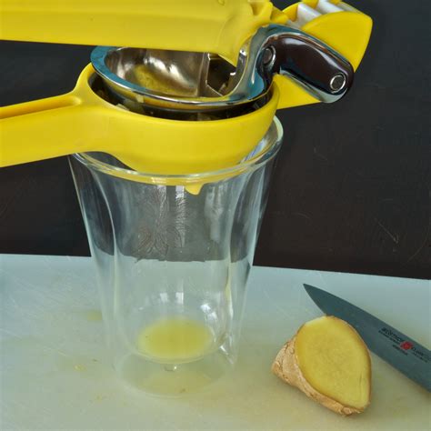 13 Best Ginger Juicer For 2024 Storables