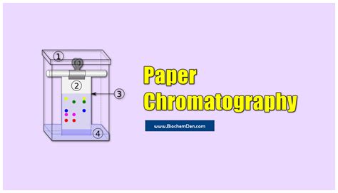 What is Paper Chromatography? Principle and Procedure