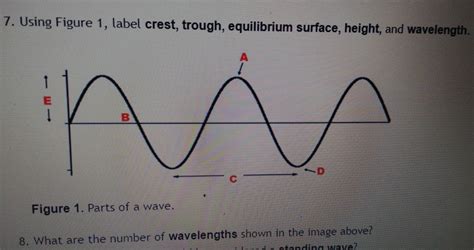 Solved 7. Using Figure 1, label crest, trough, equilibrium | Chegg.com