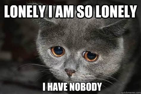 30 Lonely Memes To Make You Feel Less Alone