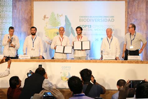 Conferencia De Las Partes Del Convenio De Diversidad Biol Gica Cop