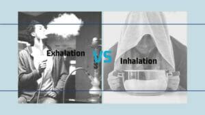 What Is The Difference Between Exhalation And Inhalation?