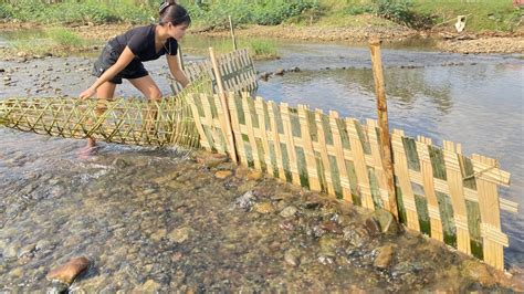 Full Video How To Make Traditional Fishing Trap From Bamboo Fishtrap