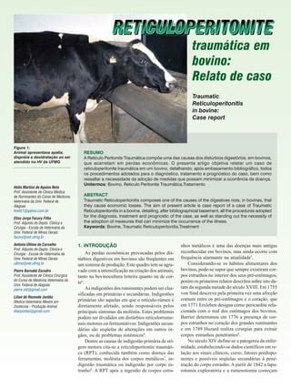 Reticuloperitonite traumática em bovino relato de caso PDF