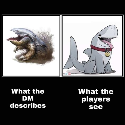 Heres Your Daily Dose Of Dungeons And Dragons Memes And Posts Episode