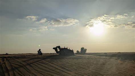 what's your best desert safari camp ? : r/Dubaidesertsafaribest