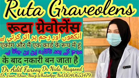 Ruta Graveolens Homeopathic Medicine Uses Urdu Hindi Ruta Ruta