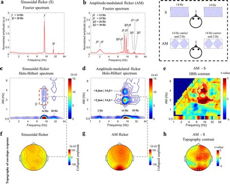 Experiment 1 The SSVEP Amplitudes Of AM And Sinusoidal Flicker At The