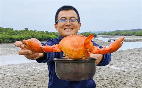 赶海抓到比锅还大的螃蟹，架上锅直接煮了，鲜到无法形容！ 思乡渔夫 思乡渔夫 哔哩哔哩视频