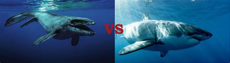 Mosasaurus Vs Megalodon Size Comparison