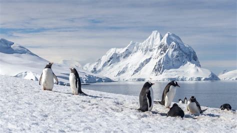 The 10 Best Places to Visit in Antarctica - Swoop Antarctica Blog