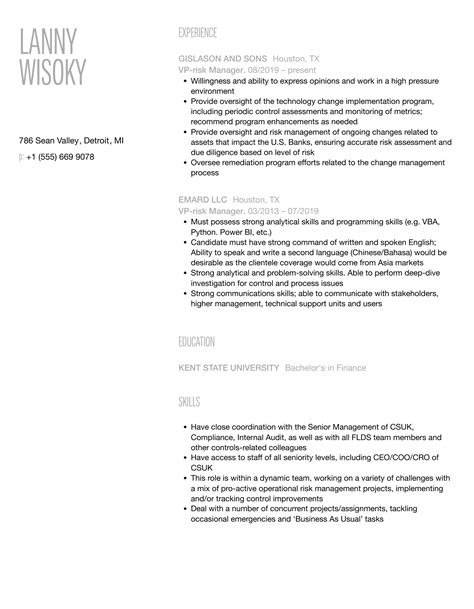 VP Risk Manager Resume Samples Velvet Jobs