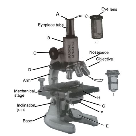 Nose piece of a microscope is