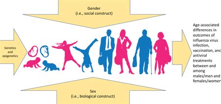 The Intersection Of Sex And Gender In The Treatment Of Influenza