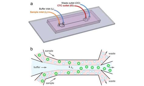 New Microfluidics Device Can Detect Cancer Cells In Blood