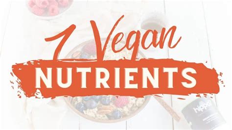 Vegan Vitamin B12: What Vegans & Vegetarian Eaters Need to Know