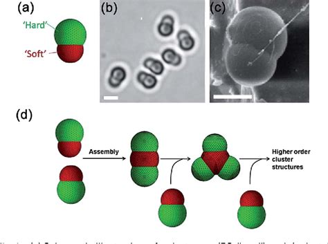 Figure 1 From Hierarchical Self Assembly Of Hard Soft Janus Particles