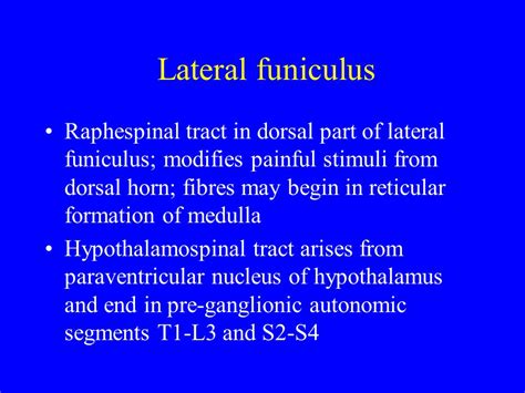 Lateral Funiculus