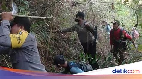 Api Tak Kunjung Padam Kebakaran Hutan Gunung Lawu Capai 35 Hektare