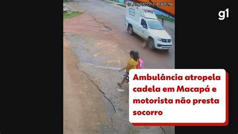 Vídeo Ambulância atropela cadela em Macapá e motorista foge sem