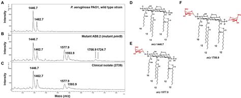 Frontiers Detection Of Colistin Resistance In Pseudomonas Aeruginosa