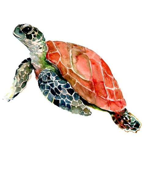 Sea Turtle Turtle Art Turtle Design Mini Art Print By Surenart Sea