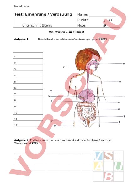 Arbeitsblatt Test Verdauung Biologie Anatomie Physiologie