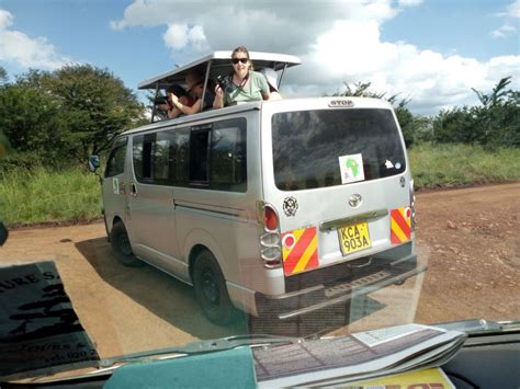 Nairobi National Park Half Day Game Drive Getyourguide