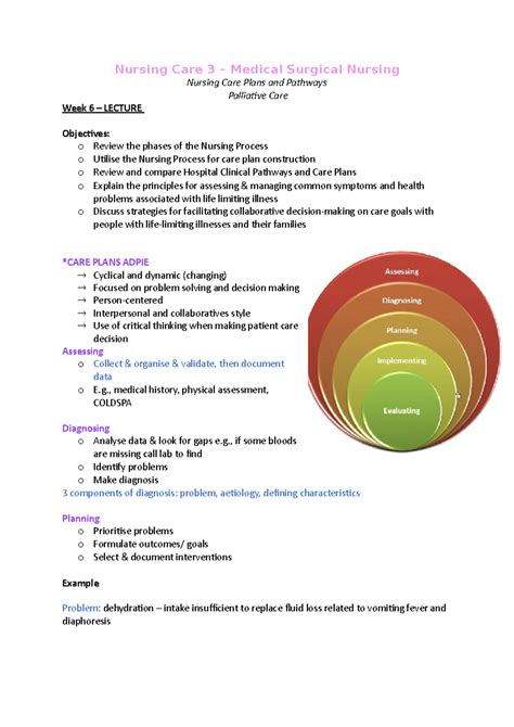 Palliative Care Nursing At A Glance Wiley Series 1