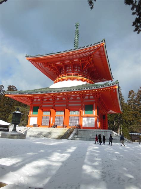 高野山麓 橋本新聞 雪の高野山、参拝者続々～桜朽木にはシャクナゲ