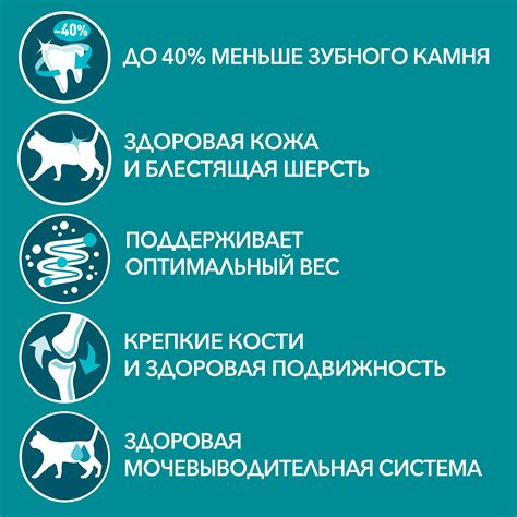 Влажный корм для взрослых кошек Purina ONE® с говядиной и морковью