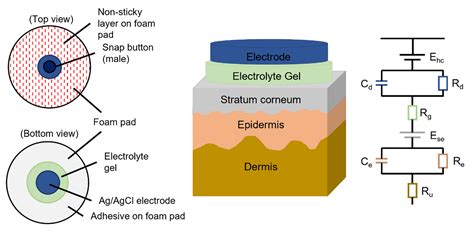 Prospects Of Soft Biopotential Interfaces For Wearable Human Machine