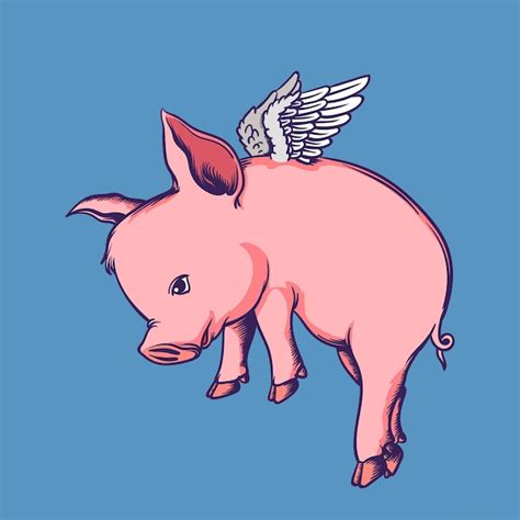 Premium Vector Cute Pig Flying Cartoon Vector Illustration