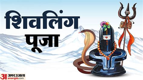 Sawan First Somwar 2024 Vrat Know Shivling Puja Vidhi In Shravan Month