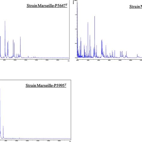 Maldi Tof Ms Reference Spectra Of The Three New Species Described The