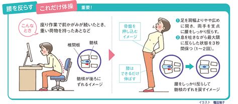 腰痛で悩む方へ送るささやかな情報｜お役立ち情報｜お知らせ ｜ 江古田の森｜東京総合保健福祉センター 中野区