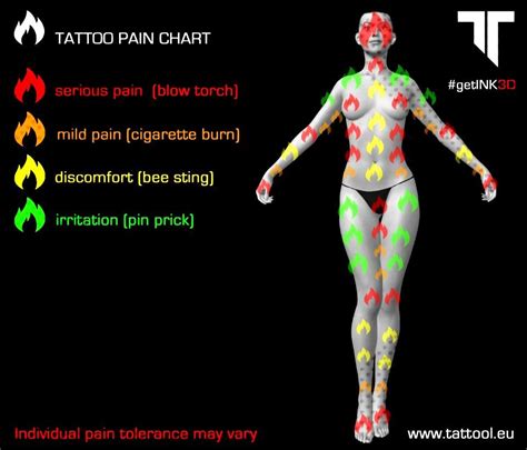 Tattoo Pain Level Chart Female