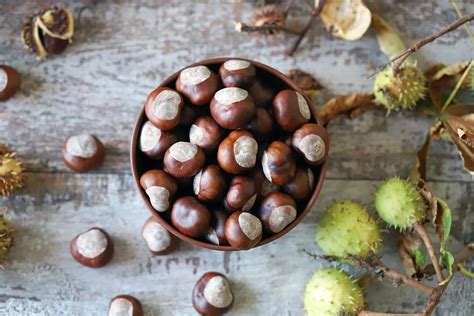 Come Sbucciare Le Castagne Crude E Cotte Con Metodi Rapidi